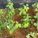 신두리농장 이미지