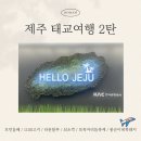 보목 | [태교여행/제주] 제주태교여행 서귀포 맛집추천 / 1100고지 드라이브 코스 / 보목자리돔축제 후기