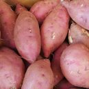 해남가스충전소 이미지