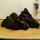 시조.소리마당 이미지