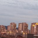 베스트롤 이미지