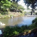 솜반내(솜반천) 이미지