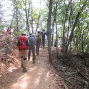 솔향기 쉼터 이미지