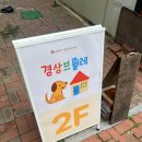 경상유치원 | 대구 동인동 애견동반 신상 감성 카페 경상브륄레 후기