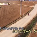 이정순농장 이미지