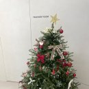 벨로의원 이미지