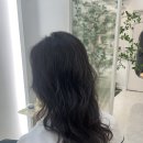 온숲헤어양산 네이버블로그