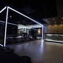 씨포스짐 이미지