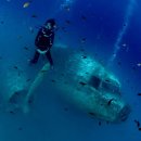 리비에라 이미지