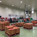 진안군농협조합공동사업법인 이미지