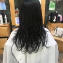 앨리헤어 이미지