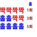 홀짝 - 속초시 | 홀짝