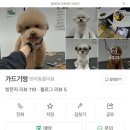 가드기멍 네이버블로그