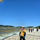 홍원7리마을회관 | 서해랑길58코스(선도리갯벌체험마을-띠목섬해변-서도초교-홍원항-춘장대해변)
