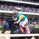 삼관목장 이미지