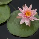 철마중리마을 이미지