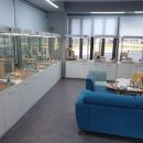 고양이분양 반하나캣 이미지