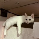 헬스케어차이나타운 | 부산역 근처 마사지 잘하는 곳 부산역 광장마사지 60분 아로마마사지 솔직후기