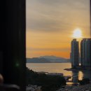 르컬렉티브 해운대 패러그라프 이미지