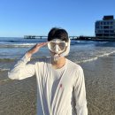 스노쿨링마스크추천 위크나인 아쿠아터틀 솔직후기
