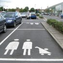 Recover Fit | [아일랜드 수동 운전 연수] 계속 해야하는건가..ㅠ