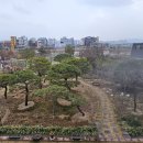 휴심정 이미지