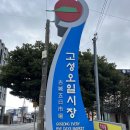 고성오일시장 | 제주살기 66일차 / 고성오일시장, 제주할망밥상, 고흐의 정원, 성산일출봉 (2022.12.29)