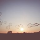 파로스학원 이미지