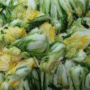 현양노인복지센터 이미지