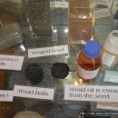 영국농장 이미지