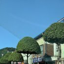 씨유 옥동점 | [일상블로그] 단양 카페 산, 안동 옥동 맛집 참한집, 대구 동성로 파스테리아 조진 후기