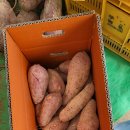 여주-1098 이미지