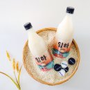 임하 | [임하양조장] 전통막걸리,수제막걸리,캠핑술, 임하막걸리 마셔본 후기