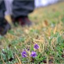 오르다한의원 이미지