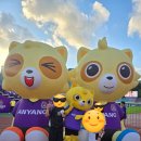 포항종합운동장 화장실 | 2025시즌 K리그1 FC안양 VS 포항스틸러스 직관 후기 안양종합운동장