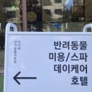 헤이스라