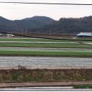 창녕 팔락정 이미지