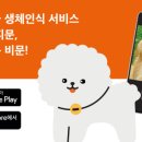 펫나우 이미지