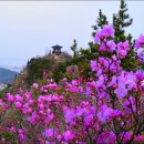 진달래약수터 이미지