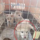 칠원119안전센터 이미지