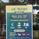 서초구립하나푸르니반포어린이집 | 서초구 반포동 잠원동 어린이집 후기 ft. 능력?