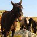 안경공작소 이미지