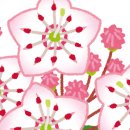 선유애견 네이버블로그