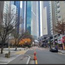 소로2류-236호 이미지