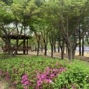 백간공원 화장실 이미지