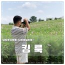 킹룩