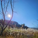 청주외곽카페 좌구산 산책후 괴산카페 해듬 방문후기:)