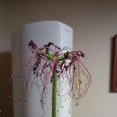 잘가또와 이미지