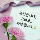 금마차 이미지