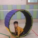 크는나무스포츠아카데미